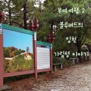 임천관아지 소나무 | 블루버드의 임천면 가림산성 이야기