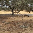 철선농장 이미지