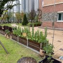 아담유치원 이미지