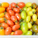 해밀농장 이미지