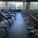 예체로(2-1) 이미지