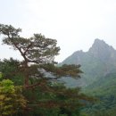 동천민박 이미지