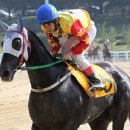 한국마사고등학교 이미지