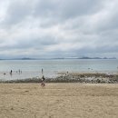 학암포항 이미지