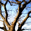 오산농장2 이미지