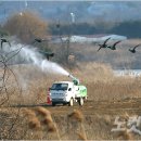 맹동농장 이미지