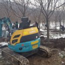 덕산면030 Daum카페