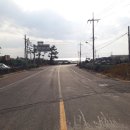 일과리-2 이미지