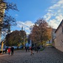 신원도서관 | 여행(15)] 스트라호프 수도원: 성모마리아 대성당, 도서관, 아트 갤러리/수도원 맥주 양조장에서 점심식사