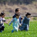 북일초교 병설유치원 이미지