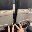 한국지엠신용암바로서비스 | 251112 후쿠오카 여행 1일차 (후르츠가든신선/모츠나베오오야마/라라포트/캐널시티)