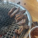조선돼지