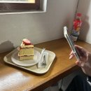 씨유(CU)강릉안목해변점 | [주간일기] 1월 둘째주 (1월 11일 ~ 1월 17일)