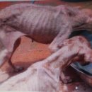 석지농장 이미지