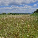 백곡천2 이미지