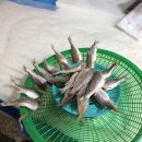 은정상회 이미지