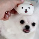 이화문구사 - 보성군 송재로 161-9 | 이화문구사