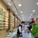 안경나래 이미지