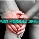 라파전위 이미지
