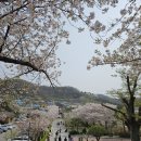 밥사랑한식뷔페 이미지