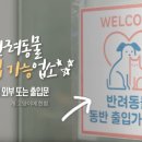 우리 강아지 이미지