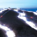 탑 프라이드 이미지