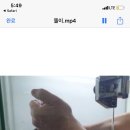 닥터각 동물병원 이미지