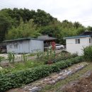 경양주유소 이미지