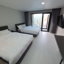 마이애미정선 이미지