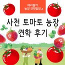 봄춘농장 | 사천 토마토 봄춘농장 견학 후기