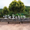 산유골 수목정원 네이버블로그