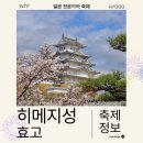 인다락벚꽃길 | 봄 일본 벚꽃 필수 코스 히메지성 축제 방문 후기