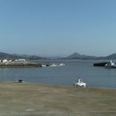 순천만 갈대밭 이미지