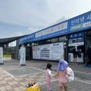 올해는 쉬어가지만, 내년에 다시 만나길! 2025년 월곶에코피아 워터파크 후기