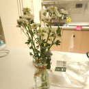 뚱뚱한크로플 | 여덟번째 블로그