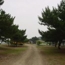 솔밭 민박 이미지