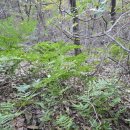 고비농장 이미지