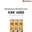 셔틀콕 KBB 4000(중급오리털) 이미지