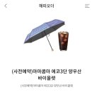 파스쿠찌양산