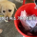 부산횟집 이미지