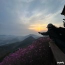 2024. 4월 경상남도 창원 - 무박여행, 버스타고 떠나는 &#34; 진달래 군락지 사이로 뜨는 아름다운일출...