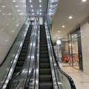 비어라비어호프 이미지