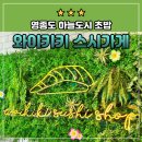 와이키키스시가게