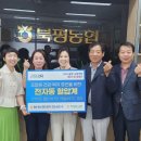 해피드림