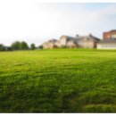 골프사랑 이미지