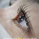 애프터유 | 마곡속눈썹, 인생 속눈썹 찾은 날 애프터유 리얼 후기