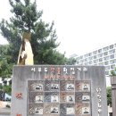 서부두 명품횟집거리 이미지