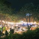 2025 삼다콘서트 이미지