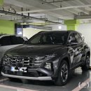 현대자동차황학남부점 | 더뉴투싼 (NX4) 하이브리드 7000km 주행기 feat. 블루핸즈 정기점검 및 옵션 추천.