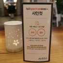 데이지엘헤어 범계점 이미지